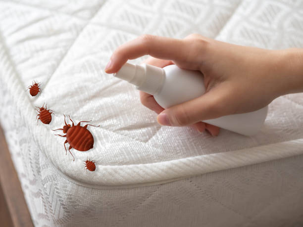 Best Affordable Pest Control Services  in Elizabeth, CO