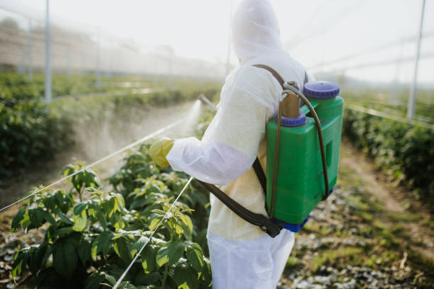 Best Mosquito Control Services  in Elizabeth, CO